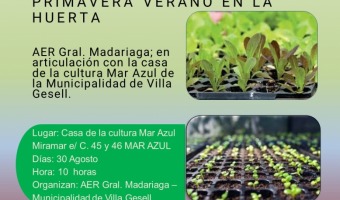 TALLER DE PREPARACIN DE ALMCIGOS PARA PRIMAVERA-VERANO EN MAR AZUL